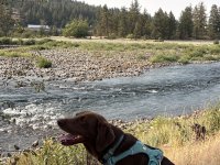 IMG_4347.jpeg