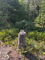 IMG_6933.jpeg