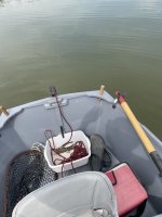 IMG_7975.jpeg IMG_7975.jpeg