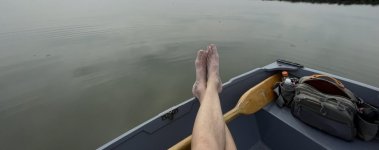 IMG_7979.jpeg IMG_7979.jpeg