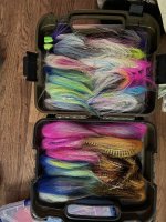 IMG_6221.jpeg