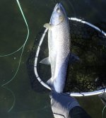 IMG_7990.jpeg