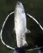 IMG_7991.jpeg