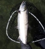 IMG_7993.jpeg