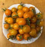 IMG_7999.jpeg