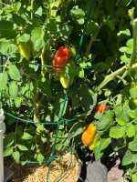 IMG_2328.jpeg