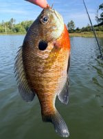 IMG_4977.jpeg