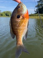 IMG_4981.jpeg