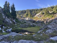 IMG_6520.jpeg