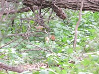 IMG_6369.JPG