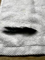 IMG_8857.jpeg