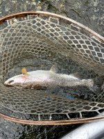 IMG_8853.jpeg