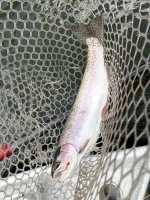 IMG_8854.jpeg
