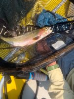 IMG_3254.jpeg