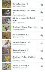 Screenshot_20260823_072203_Merlin Bird ID.jpg