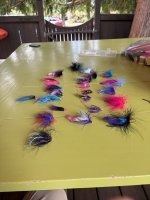 IMG_4409.jpeg