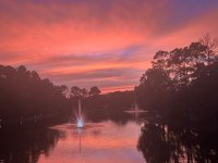 IMG_6625.jpeg