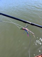 IMG_4678.jpeg IMG_4678.jpeg