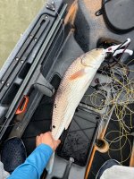 IMG_4672.jpeg IMG_4672.jpeg