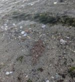 PXL_20260824_030317082.jpg