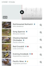 Screenshot_20260824_120719_Merlin Bird ID.jpg