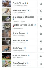 Screenshot_20260824_120701_Merlin Bird ID.jpg