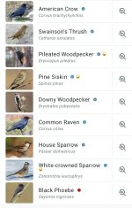 Screenshot_20260824_120528_Merlin Bird ID.jpg