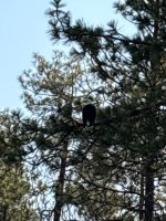 IMG_4358.jpeg