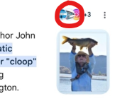 1787606494226.png 1787606494226.png