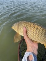 IMG_8004.jpeg IMG_8004.jpeg