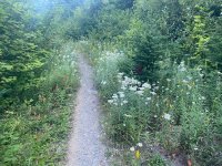 IMG_5419.jpeg