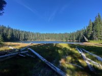 IMG_5532.jpeg