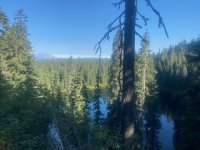 IMG_5549.jpeg