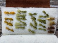 IMG_4588.JPG