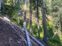 IMG_5569.jpeg