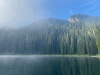 IMG_5602.jpeg