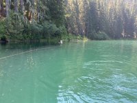 IMG_5634.jpeg