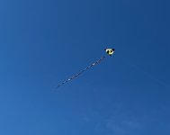 IMG_8023.jpeg