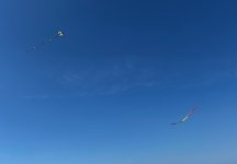 IMG_8022.jpeg