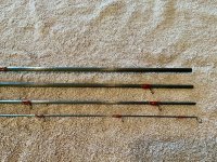 IMG_0303.jpeg