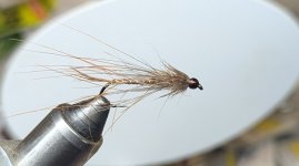 PXL_20260826_000006253.jpg