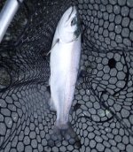 IMG_8027.jpeg