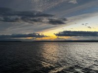 IMG_8038.jpeg