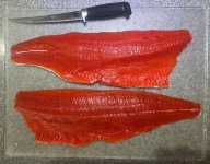 Coho Fillets.jpg