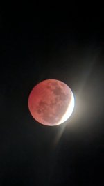 PXL_20260828_043313995.NIGHT.jpg