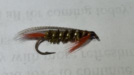 fly2.jpg