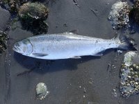 IMG_8045.jpeg