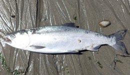 IMG_8047.jpeg
