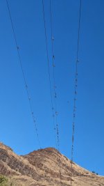 PXL_20260829_203015792~2.jpg