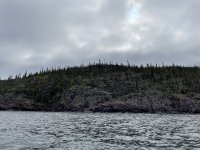 IMG_6252.jpeg